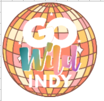 Go Wild Indy Pop Socket Vinyl Holographic Stickers